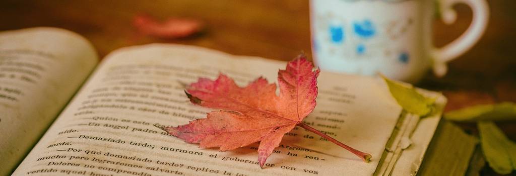 leaves coffee cup still life book