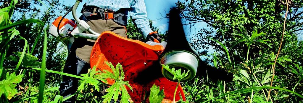 10 Conversation Starters Questions About Community Gardening
