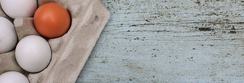 10 Conversation Starters Questions About Dairy-Free Cooking