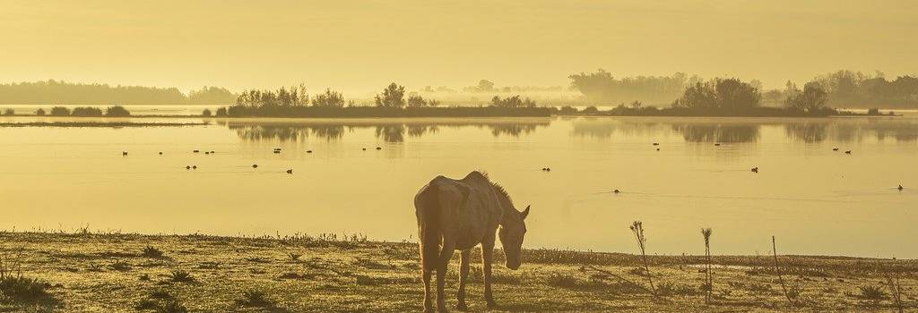 10 Conversation Starters Questions About Ecotourism