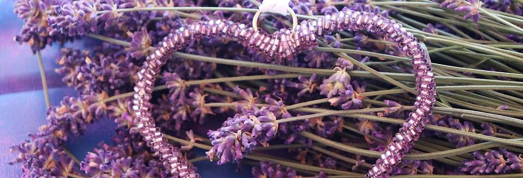 10 Conversation Starters Questions About Essential Oils