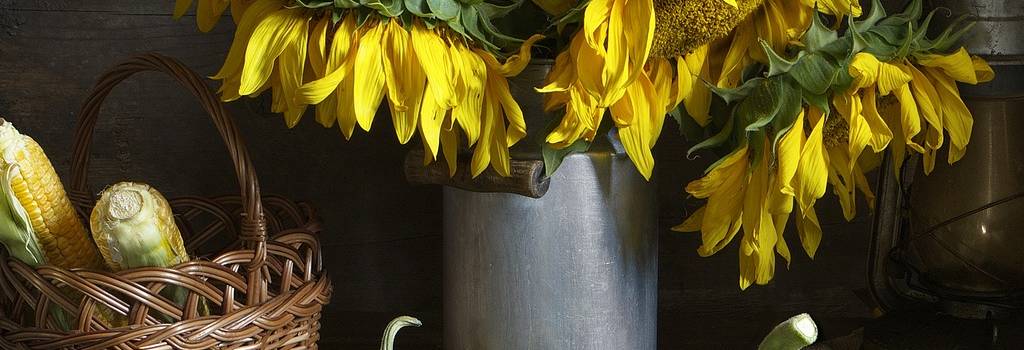 still life sunflowers bouquet
