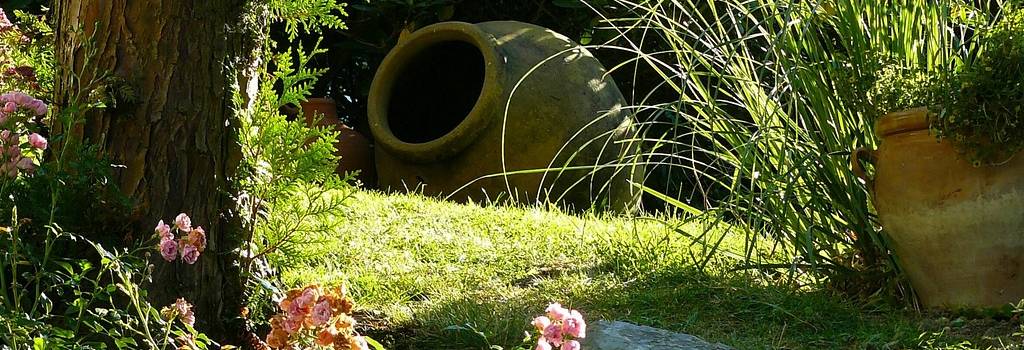 10 Conversation Starters Questions About Garden Design