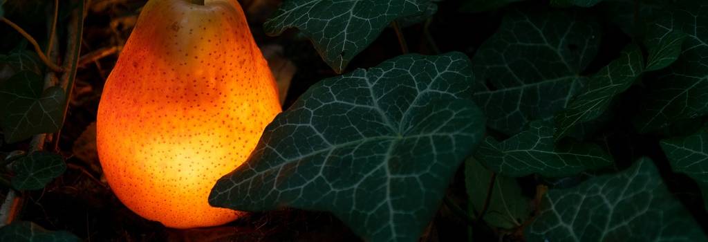 pear lightbulb garden ivy