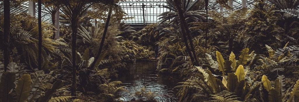 10 Conversation Starters Questions About Greenhouses