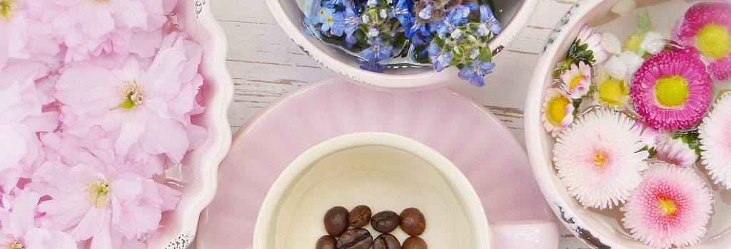 10 Conversation Starters Questions About Homeopathy