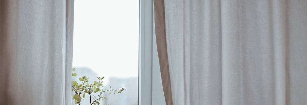10 Conversation Starters Questions About Indoor Gardening
