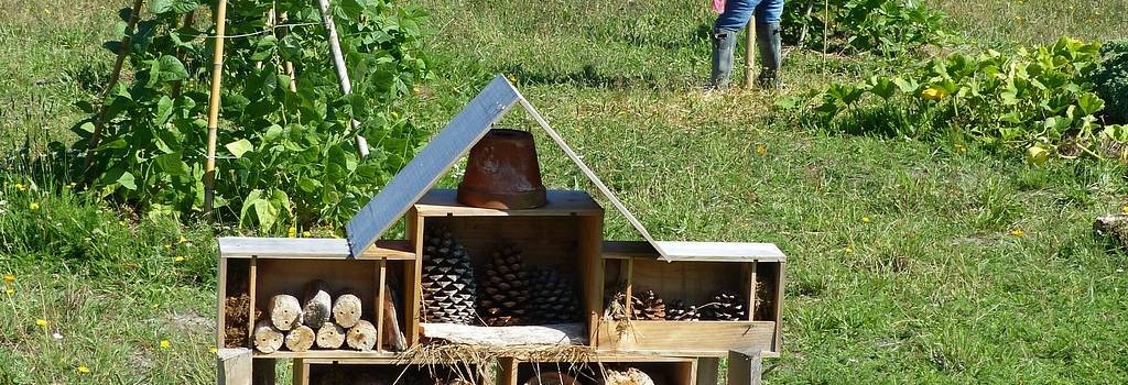 10 Conversation Starters Questions About Permaculture
