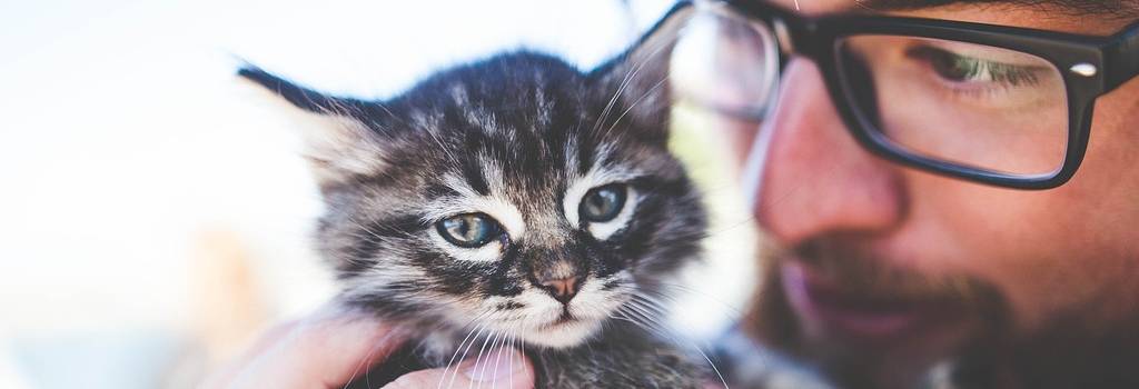 10 Conversation Starters Questions About Pet care