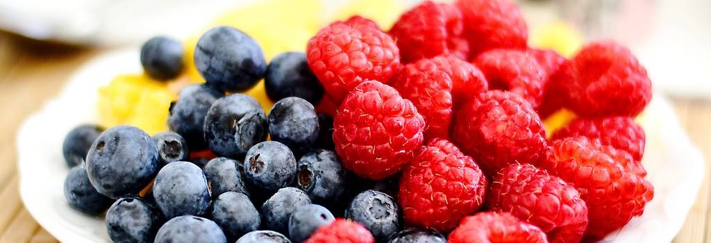 10 Conversation Starters Questions About Plant-Based Diets