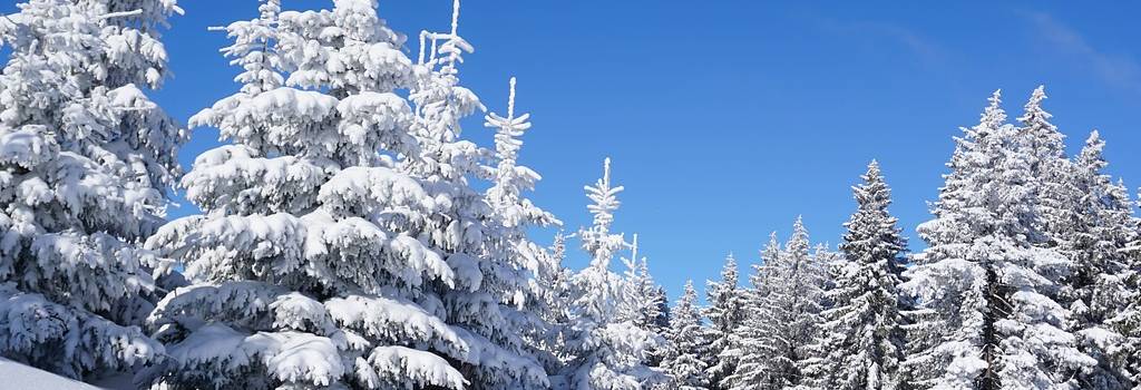 10 Conversation Starters Questions About Skiing