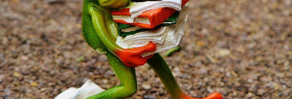 frog figure files stack