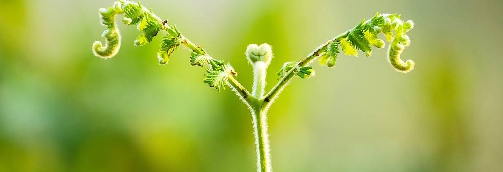 10 Conversation Starters Questions About Business Growth