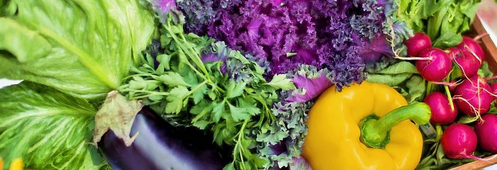 10 Conversation Starters Questions About Gardening